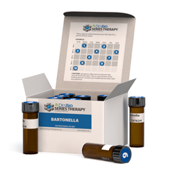 bartonella